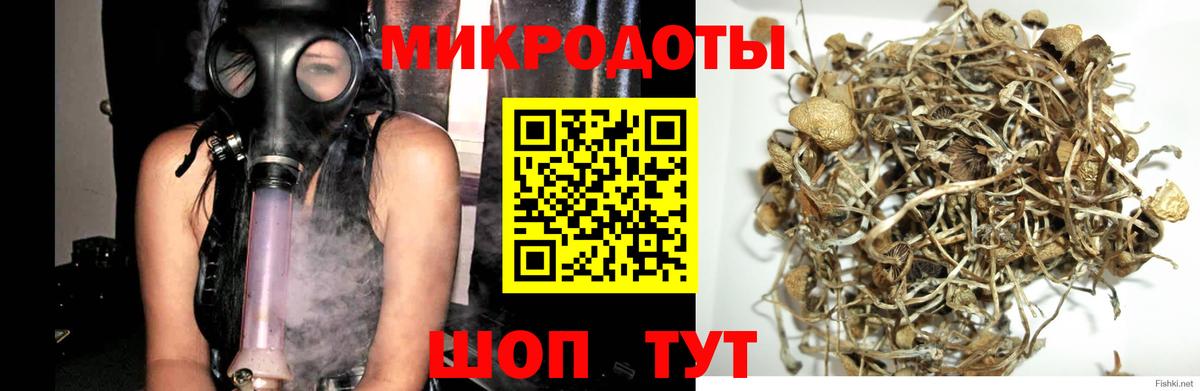 Галлюциногенные грибы Psilocybine cubensis  Вход с VPN  купить наркоту  Россошь 